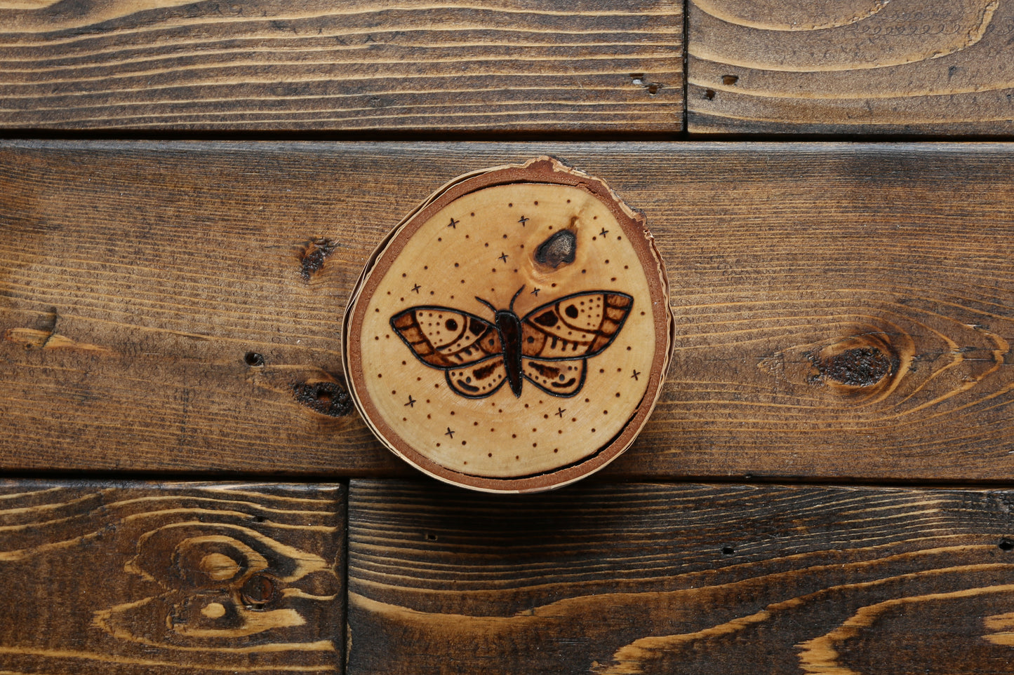 Moths