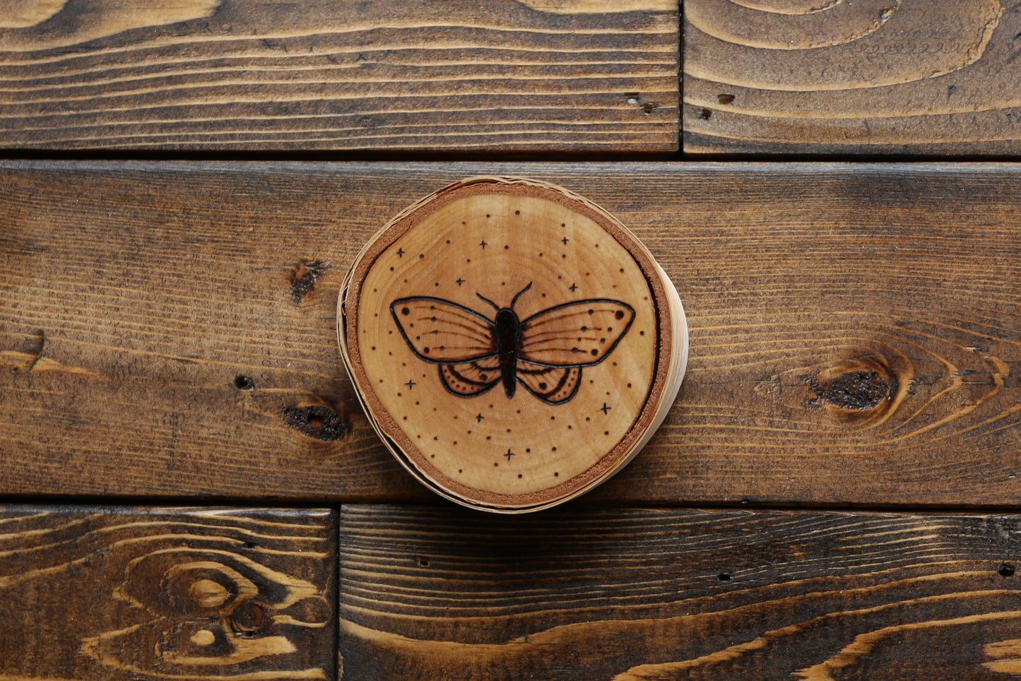 Moths