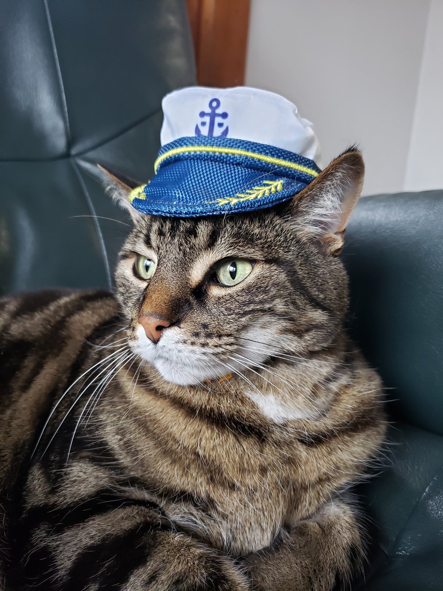 Captain Tigger & The Lost Tuna
