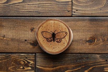 Moths